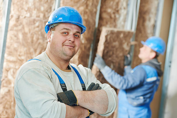 Best Local Insulation Services  in Carson, WA